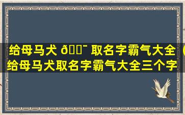 给母马犬 🐯 取名字霸气大全（给母马犬取名字霸气大全三个字 🐦 ）